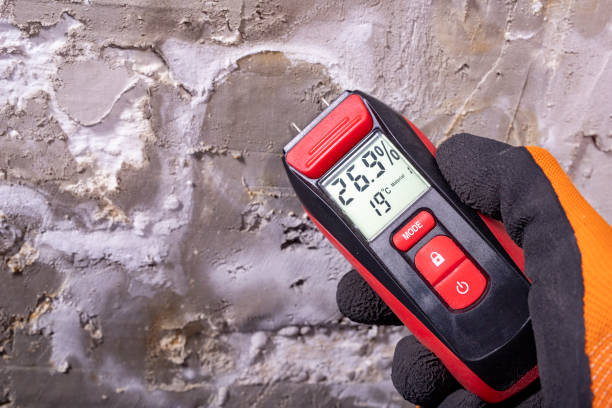 Best Emergency Mold Removal  in Shady Spring, WV