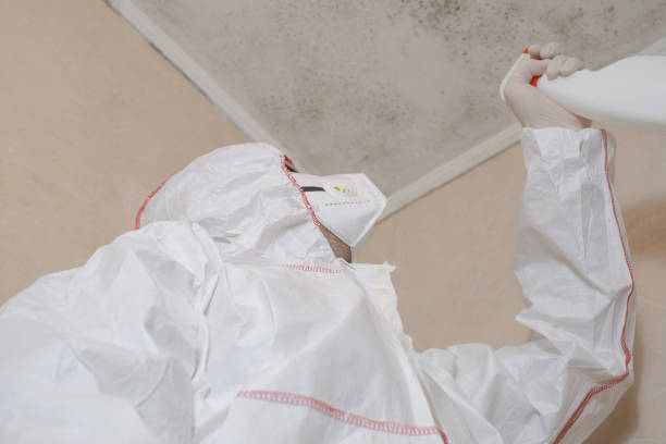 Best Office Mold Removal Services  in Shady Spring, WV